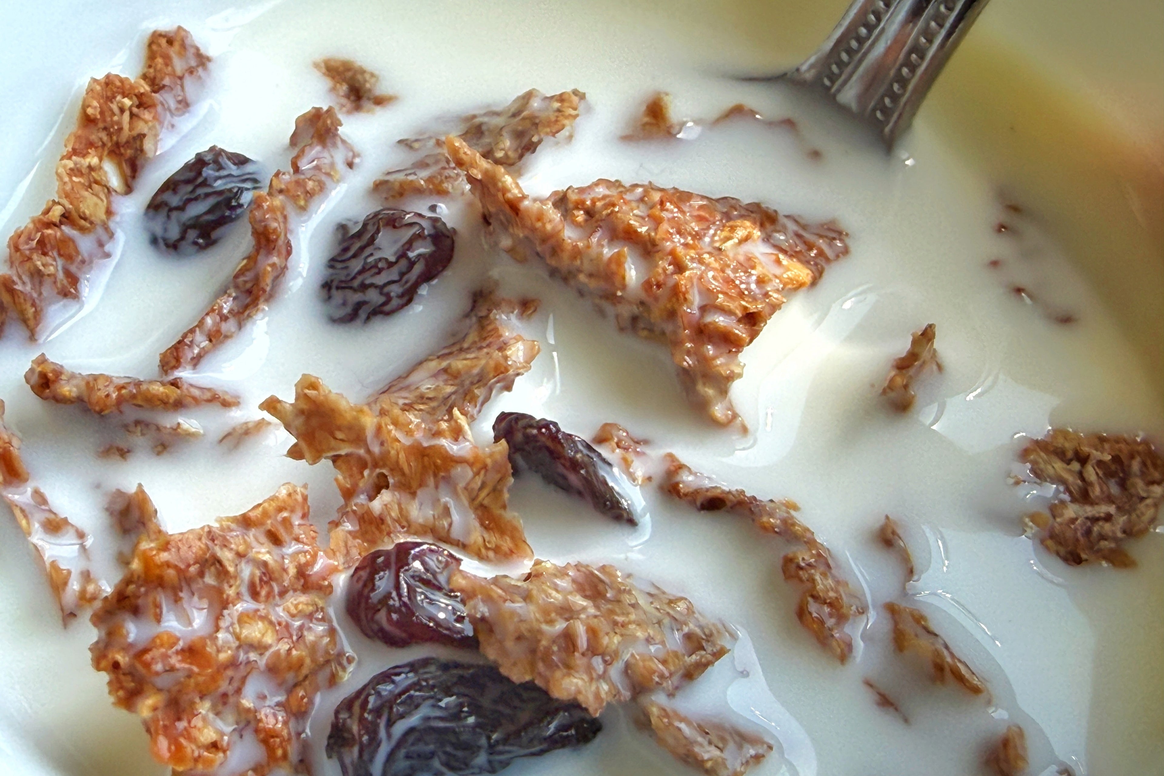 Morning Heavy Bran Flakes Cereal
